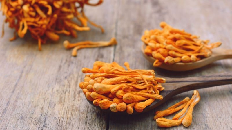 Đông trùng Hạ thảo Tây Tạng
